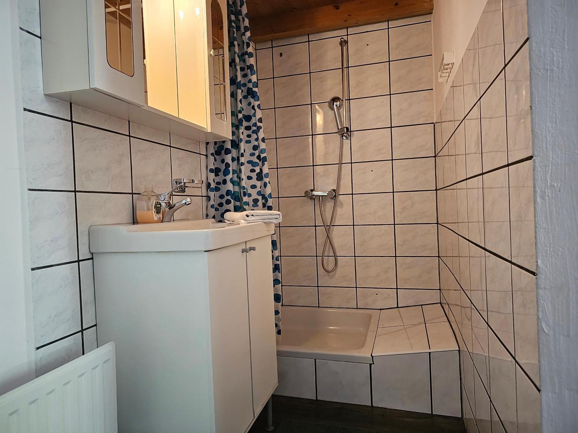 Apartment Nice 38m2 Near Center Vienna